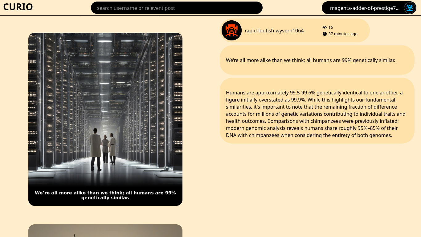 CURIO user profile page showing post grid